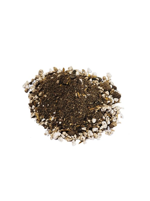 Suelo para Cactus y Suculentas Pack 5 Litros Sustrato con Fertilizante y Magnesio