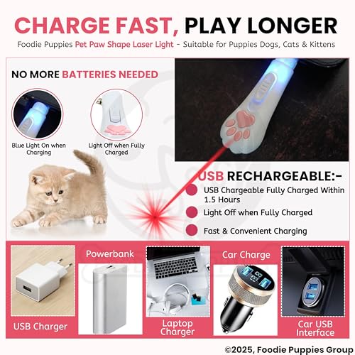 Image of Foodie Puppies Paw Shape USB Laser Pointer Cat Teasing Toy with 5 Adjustable Patterns I Pet Chaser Tease Laser Light with Keyring for Cats, Kitten, Puppies & Dogs I Fun Exercise & Training Toy