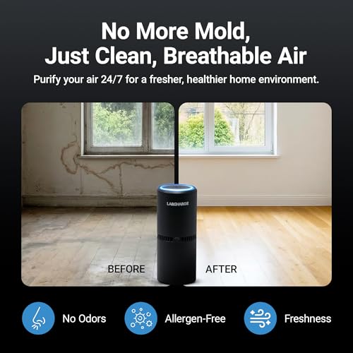 Lab Charge Small Ionic Air Purifier for Home & Bedroom – Silent HEPA Filter – Covers 250 Sq Ft - Free Cleaner for Pets, Hair, Smoke, Dust, Odors & Dander – Compact & Black Design - Pack of 4