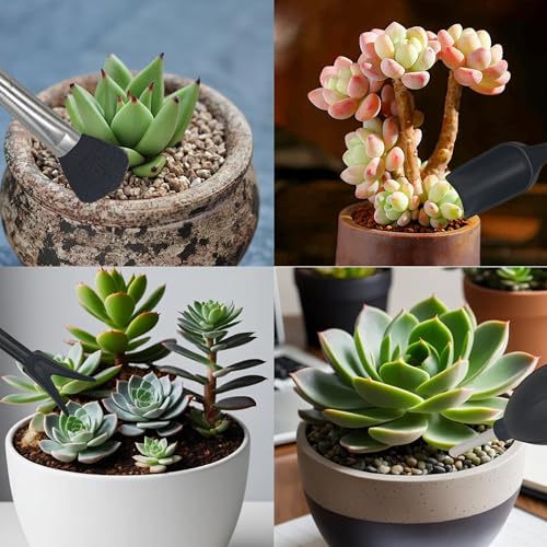 Kit de herramientas para suculentas 15 piezas con bolsa organizadora miniatura 4