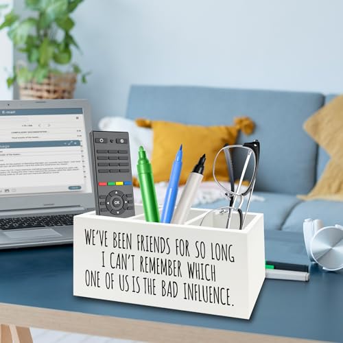 Image of Funny Sarcastic Friendship Pen Pencil Holder Organizer for Desk, Humorous Gifts, We've Been Friends for So Long I Can't Remember Which Wooden Box Signs Decor for Home Office Desk Tabletop