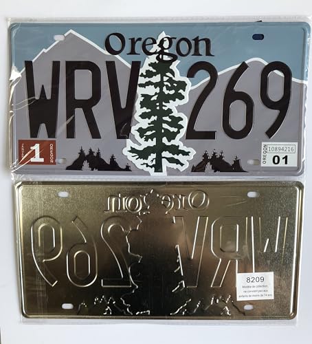 - Satz mit 10 amerikanischen Autokennzeichen aus Metall - Repliken echter US-Kennzeichen - V1C