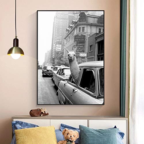 Alpaca Wall Art Canvas Print Black And White Animal Portrait Street View Art Decor For Living Room Bedroom (16X20 Inches,Unframed) #TOP1