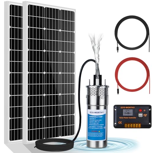 ECO-WORTHY 24V Solar Water Pump Kit, Large Flow 3.2GPM, 2pcs 100 Watts Solar Panel + Submersible Well Pump + 20A Controller + 16ft Cables for Off-grid Irrigation,Garden Camping