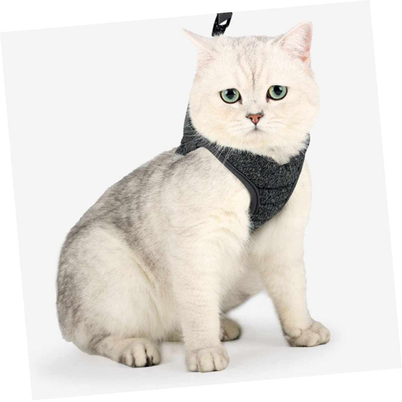 BESPORTBLE 3 Pièces Sangle de pour Chat Dressage d'animaux de Compagnie Sangle de pour Animaux de Compagnie Harnais pour Chiots Laisse Chat débardeurs Gilet Harnais
