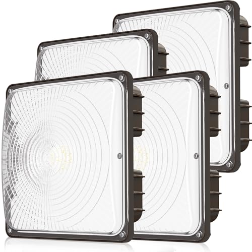 CINOTON 40W Canopy Lights 4 Pack