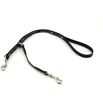 leerburg prong collar