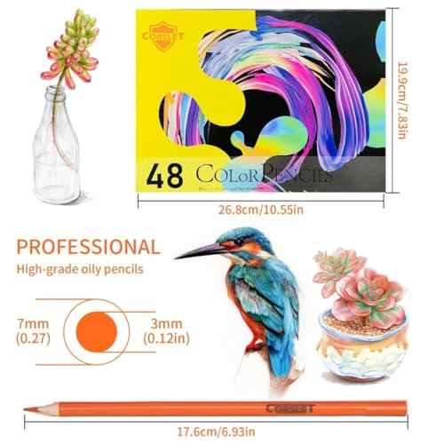 Image of Corslet Set of 60 Pcs - 48 Pc Pencil Colour Set &12 Pc Drawing Pencil Set Colour Pencil Set for Kids Artists Colour Pencils 48 Shades Oil-Based Professional Colored Pencils for Coloring and Sketching