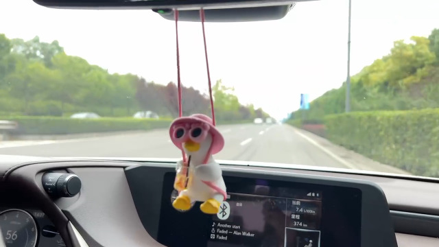 Lustige Schaukel-Ente Für Auto-Rückspiegel - Witzige Deko Mit Gitarre