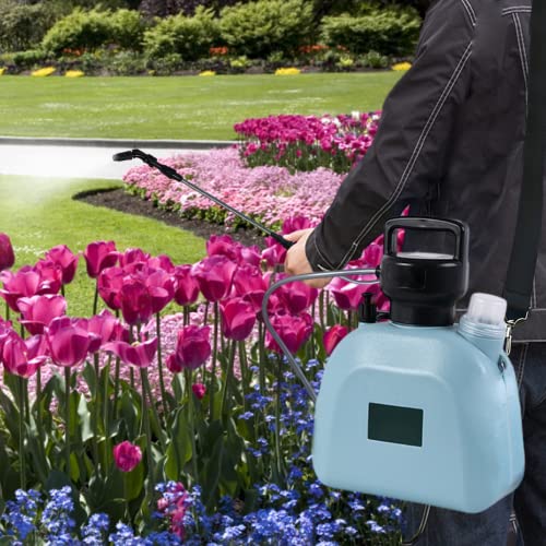 Pulvérisateurs de jardin électriques pour un arrosage facile sans effort