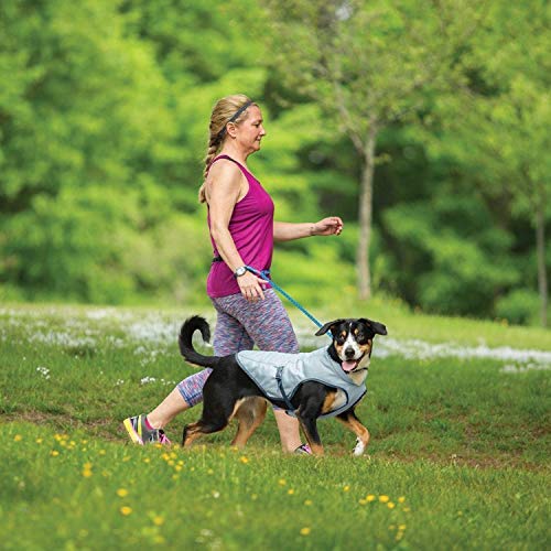 Kurgo Core Cooling Vest For Dogs, Dog Cooling Jacket, Evaporation Cooler Coat For Pets, Reflective Material, Adjustable Straps, Leash Attachment Opening, Icy/Storm Blue, Medium #TOP5