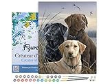 Figured'Art Peinture par Numéro Adulte avec Cadre Trio de labrador - Activité Manuelle Kit de Loisir Créatif DIY Numéro d'Art Complet - 40x50cm toile tendue sur châssis