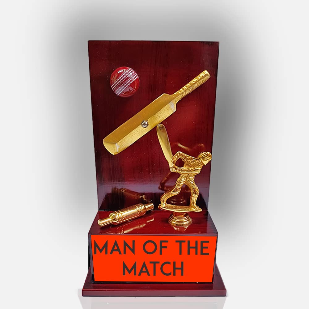 Bareeze Pure Trophy for Cricket Man of The Match Metal Cricket Trophy Cricket Tournament Trophy Cricket Award Cricket Cup Cricket Trophy Prize Cricket Trophy Winner (B0C6MPHXV1) Amazon Price History, Amazon Price Tracker