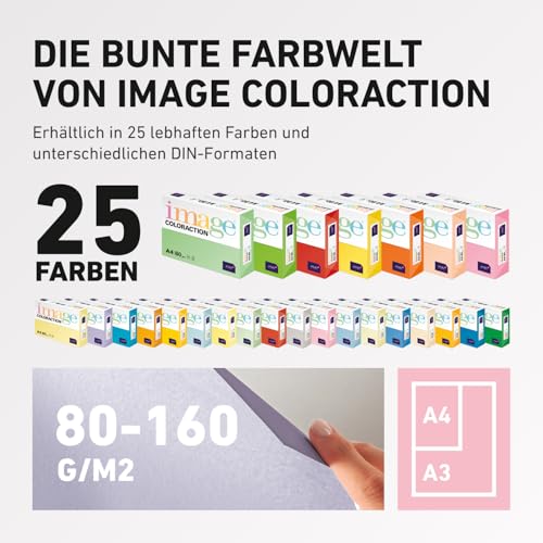 Image Coloraction Forest - farbiges Kopierpapier - DIN A4, 210 x 297 mm, 80 g/m² - buntes, holzfreies Druckerpapier für Kopierer - 500 Blatt - Grün