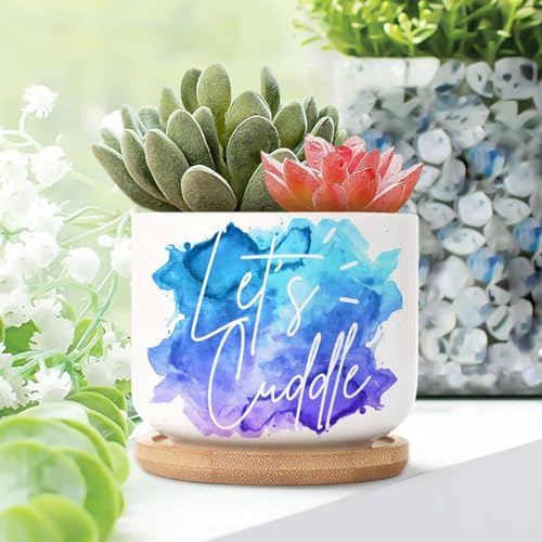 DecStic Let's Cuddle Ceramic Planters Words Letters Flower Pots for Indoor Plants with Drainage Holes and Saucers Pot for Pots Outdoor Indoor Plants