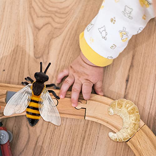 NUOBESTY 4 Conjuntos de Figurinhas Do Ciclo de Vida de Uma Abelha Joaninha Inseto Aranha Safariology
