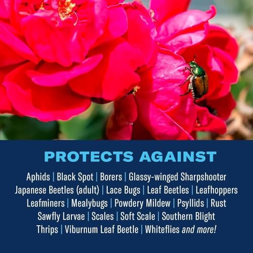 Image of BioAdvanced All-In-One Rose and Flower Care Concentrate - Plant Food - Prevents Pests and Diseases - Up to 6 Weeks Protection - 64 oz Bottle