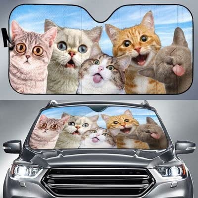 Pare-soleil voiture intérieur motif chats drôles taille M universelle pour auto et SUV