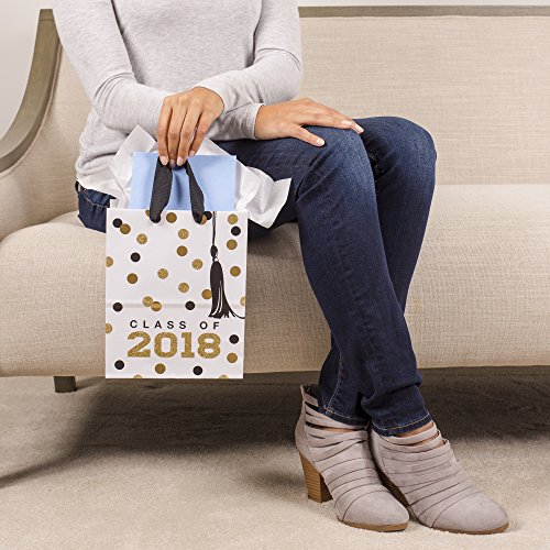 image for Hallmark Medium Graduation Gift Bag With Tissue Paper (Class of 2018 T
