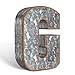 Galvanized Metal 3D Letter G