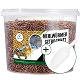 Mehlwürmer Getrocknete - 3 L Eimer + ANGEBOTENER Schaufel - Futter für Wildvögel, Schildkröten, Fische, Nagetiere, Igel - Qualitätsnahrung -Qualitätsnahrung - Premium Leckerbissen Mehlwürmer - 460g