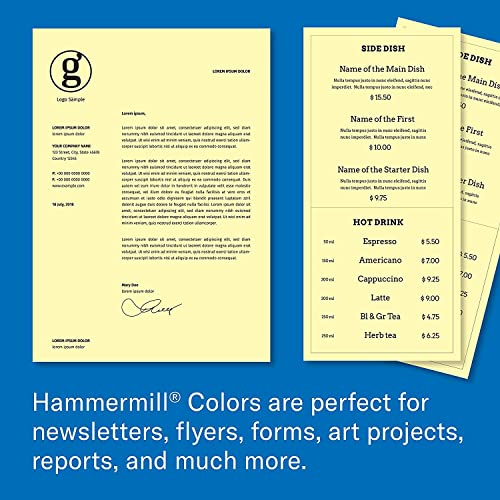 Image of Hammermill Colored Paper Pallet, Canary, Blue, Green, Pink Printer Paper, 20lb, 8.5x11, 1 Pallet - 10 Cases of Each Color, 004165P, Assorted Colors