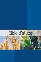 Download Bible Semeur d'étude couverture rigide bleue illustrée PDF