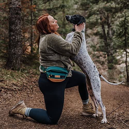 Image of Wilderdog Utility Fanny Pack stores Treats, Balls, Keys in 3 Pockets with adjustable strap and Poop Bag dispenser (Evergreen)
