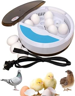 Egg Incubator - Incubators for Hatching Eggs - 9 Egg Hatching Incubator - Omnidirectional Constant Temperature Control and Humidity Control Egg Incubators by EZ.SIMPLY