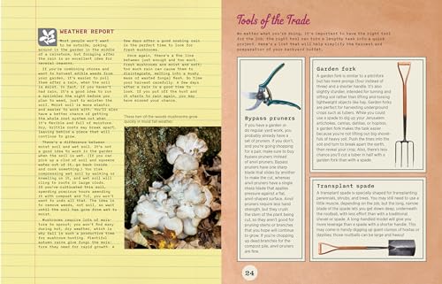 Backyard-Foraging-65-Familiar-Plants-You-Didnt-Know-You-Could-Eat-Paperback--March-12-2013