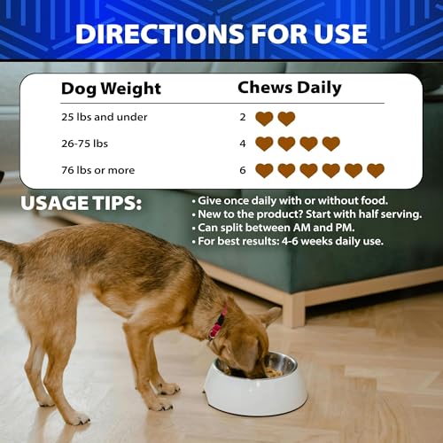 Image of Advanced Probiotics for Dogs for Gut & Digestive Health, Seasonal Allergies & Itchy Skin, Yeast Balance - 6 Billion CFU - Dog Probiotics - Without Yeast - w /Prebiotics, Enzymes, Pumpkin - 120 Treats