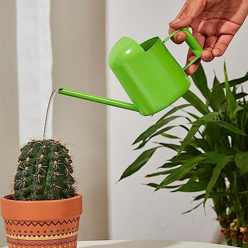 Gießkanne 300ml Mini - Edelstahl Langer Auslauf für Zimmerpflanzen, Balkonpflanzen und Garten - Klein, Grün