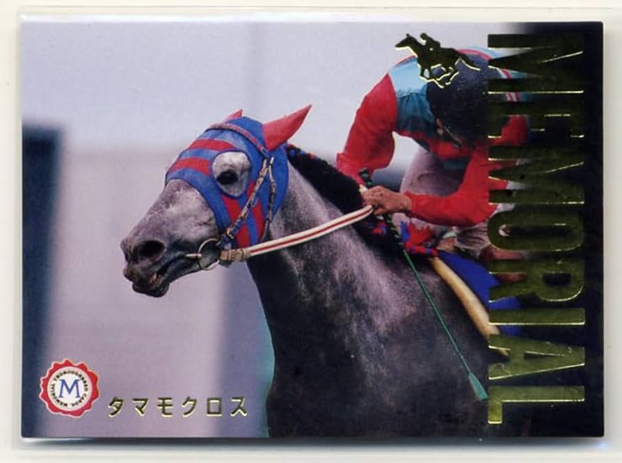 JASP.ER フォトカード JASPER Santa SADISTIC フォトカードセット GMMTV タイ