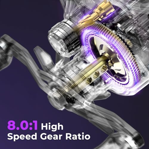 Image of KastKing Royale Legend Pro Baitcasting Reel, Gear Ratio 8.0:1, Right Handed