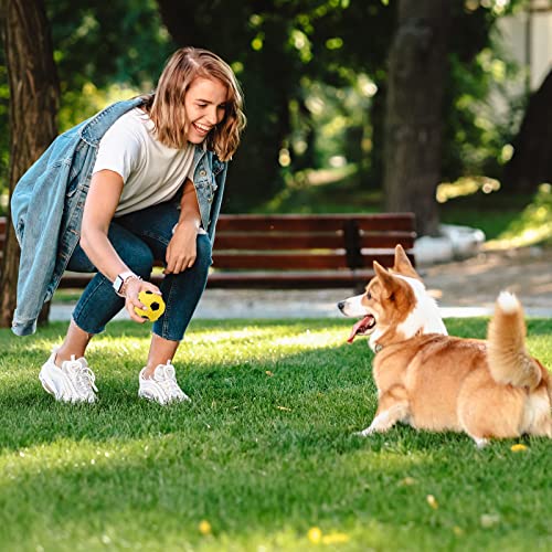2 Stück Quietschender Hundespielzeug Ball Latex Hunde Quietsch Spielzeug Fußball Kauen Apportierball Hundeball für Katzen Werfen Interaktives Hundespielzeug Zahnreinigung Kauspielzeug für Jagdübung