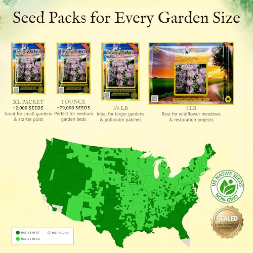 Everwilde Wild Bergamot Seeds 2,000 Count – Native Perennial Wildflower – Attracts Bees, Butterflies & Hummingbirds – Drought Tolerant & Deer Resistant – Pollinator Gardens – XL Mylar Jumbo Packet - Image 6