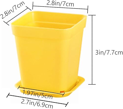 Miniatura 2 de Haawooky Paquete de 24 Macetas de Flores Coloridas, Macetas Cuadradas de Plástico para Plantas, Macetas para Suculentas, Macetas de Vivero