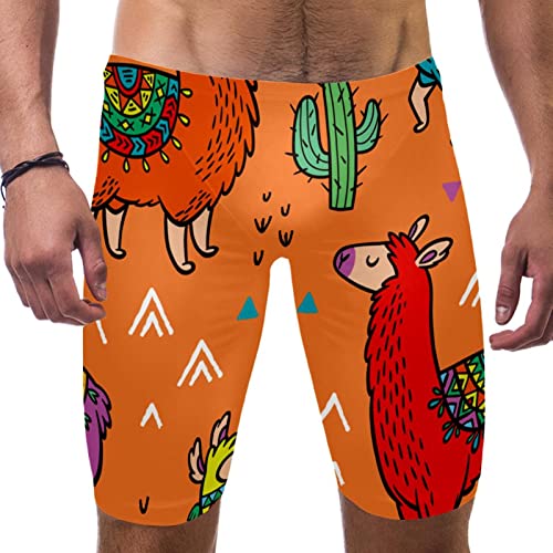 Jammers de cactus naranja para hombre, bañador 3XL multicolor ideal para entrenar en la piscina