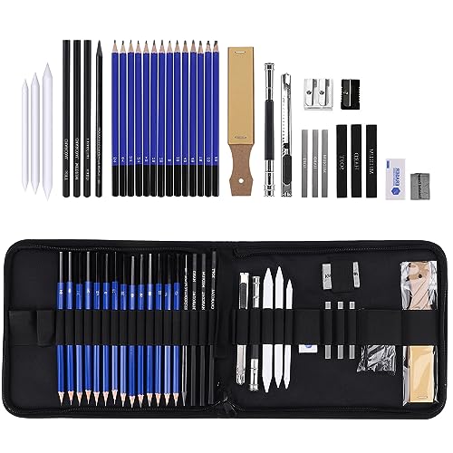 Fabaoday Set de Lapices de Dibujo 35 Pcs Material De Dibujo Incluye Lapices Grafito, Carboncillos, Herramientas de Dibujo