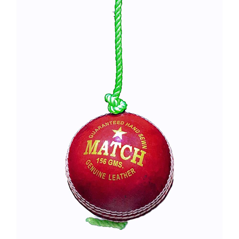 SL Leather Match Practice Hanging Cricket Ball Red Pack of 1 (Club Size) (B0B6FYCNZB) Amazon Price History, Amazon Price Tracker