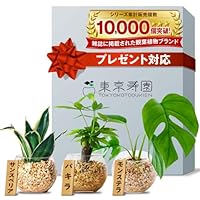 植物複数購入の方へ 51WOVAO2kZL._SS200_.jpg