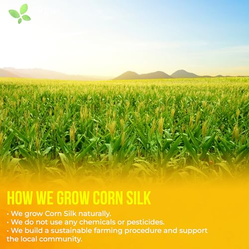 Image of FreshDrinkUS, Premium 40 Tea Bags Corn Silk Tea, 100% Natural & Pure from Corn Silk. Corn Silk Herbal Tea. Clean Ingredients. Made with Natural Material Tea Bags. No Sugar, No Caffeine, Vegan.