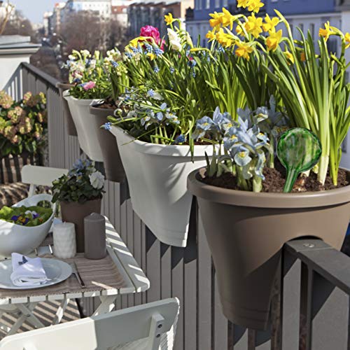 Relaxdays Bewateringskogels 2-delige set, gedoseerde planten, bloempot, giethulp kantoor, vakantie, glas Ø 9 cm, groen… - Image 6