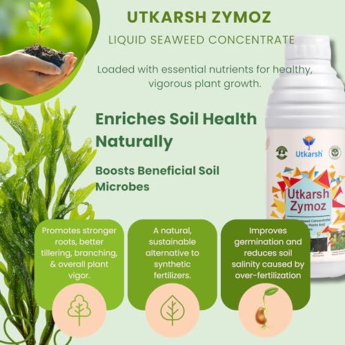 Image of Utkarsh Liquid Seaweed Extract | Organic Plant Growth Promoter for Healthy Plants | Enhances Flowering & Improves Fruit Set | Biostimulant For Home Garden - Zymoz (2 Liter; Pack of 2 of 1 Litre)