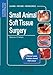 Small Animal Soft Tissue Surgery: Self-Assessment Color Review (Veterinary Self-Assessment Color Review Series)