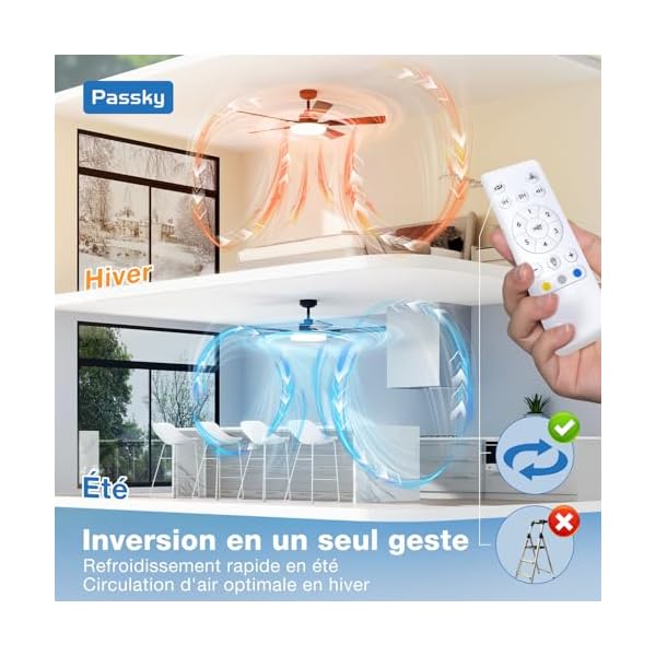 Passky Ventilateur de plafond avec lumière LED silencieux 132cm, Télécommande, Moteur CC réversible, 3 réglages de couleur, Fonction été-hiver, 6 vitesses, Minuterie, Int/ext, Noir