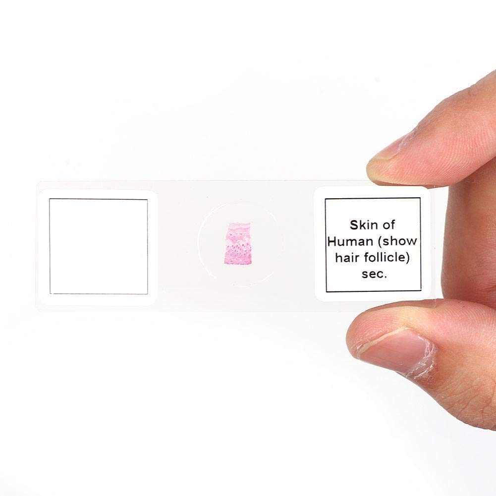 100 piezas Juego de portaobjetos preparado Portaobjetos de microscopio preparado Laboratorio Surtido de muestras Accesorios para microscopios