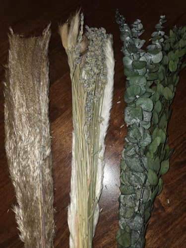 Ramo de flores secas Pampas Grass Boho para decoración miniatura 4