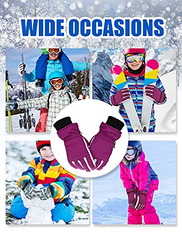 Honoson 2 Pairs Winter Kids Snow Gloves Waterproof Windproof Warm Youth Ski Gloves Toddler Snowboard Gloves For 6-13 Years (Dark Purple, Grey,) #TOP5