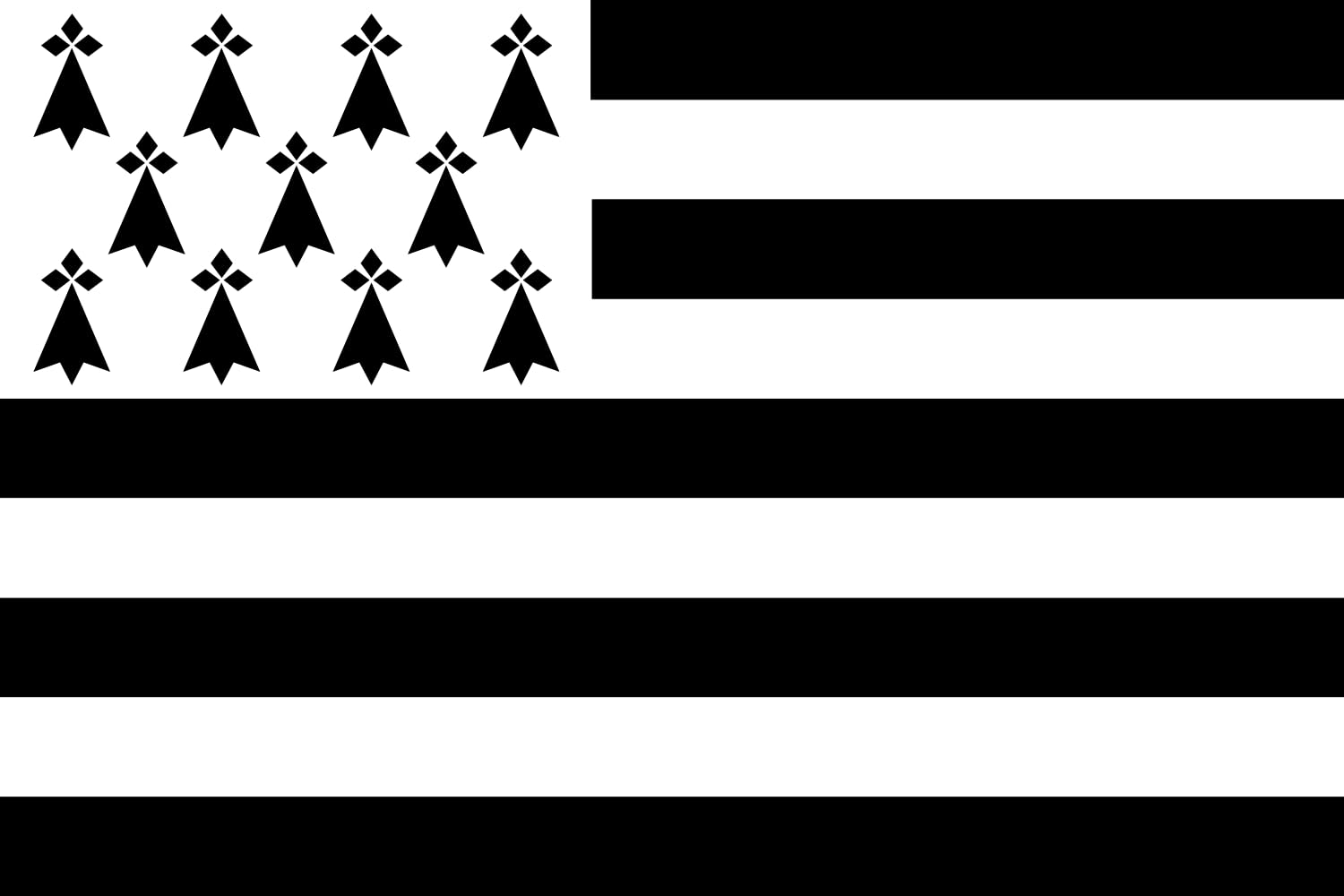 Drapeau Bretagne large Gwenn ha Du format paysage pour mât extérieur